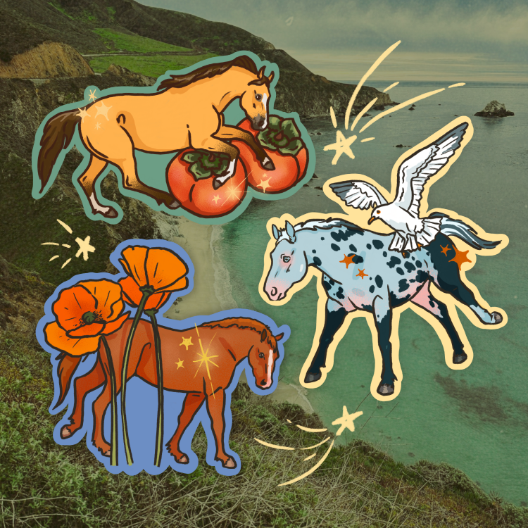 Coastal Cowgirl Sticker Bundle