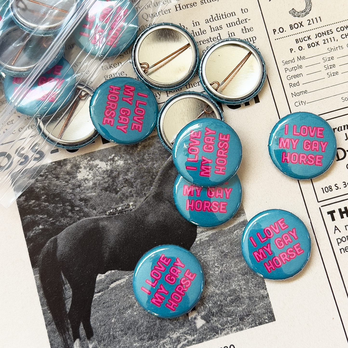 I Love My Gay Horse Button