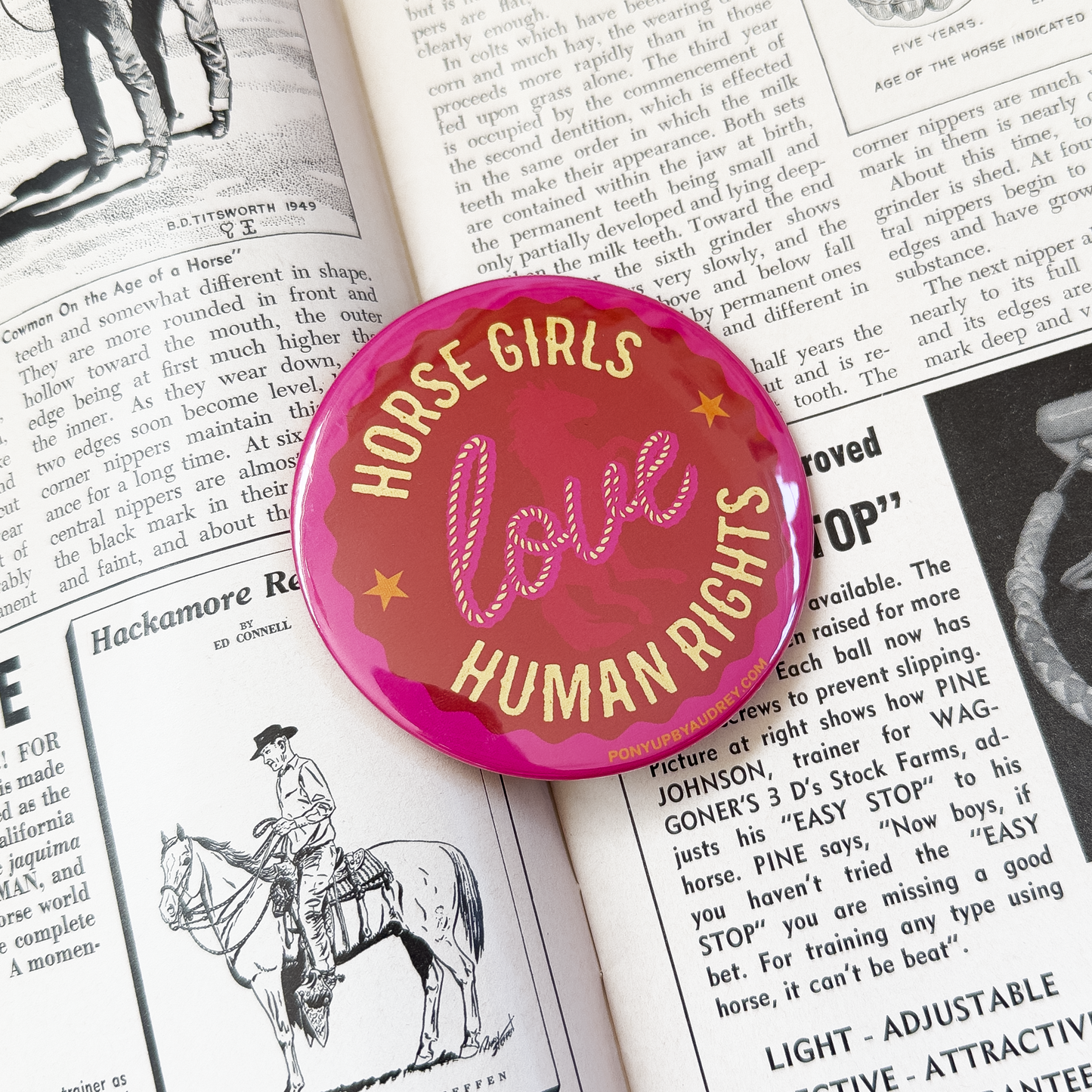Horse Girls Love Human Rights Button