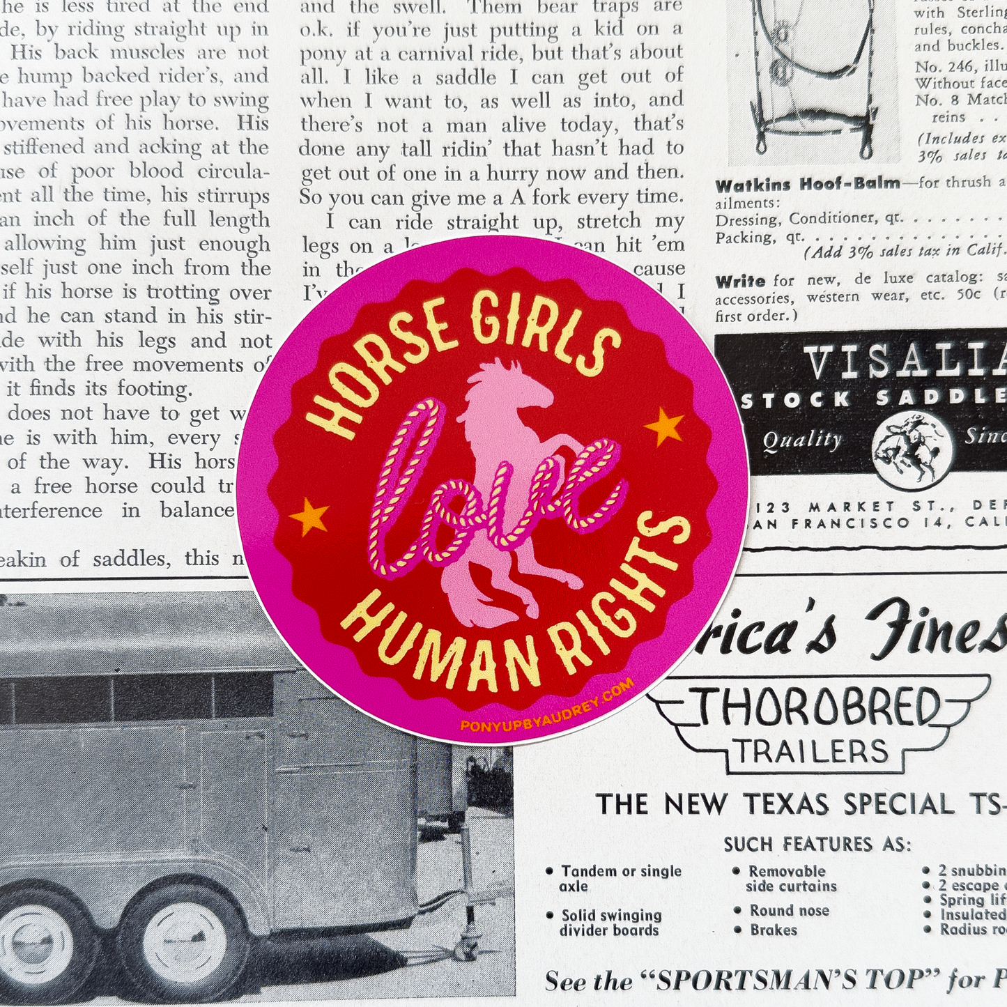 Horse Girls Love Human Rights Sticker