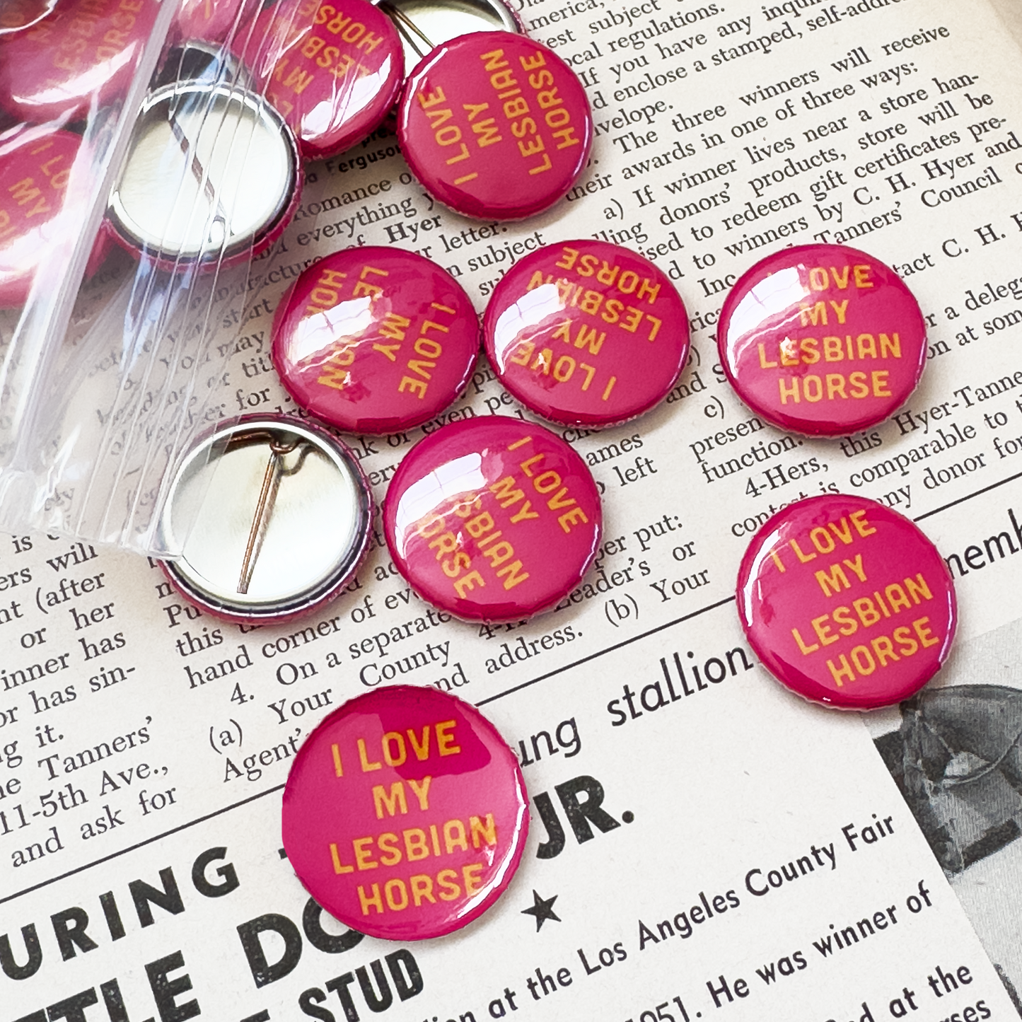I Love My Lesbian Horse Button