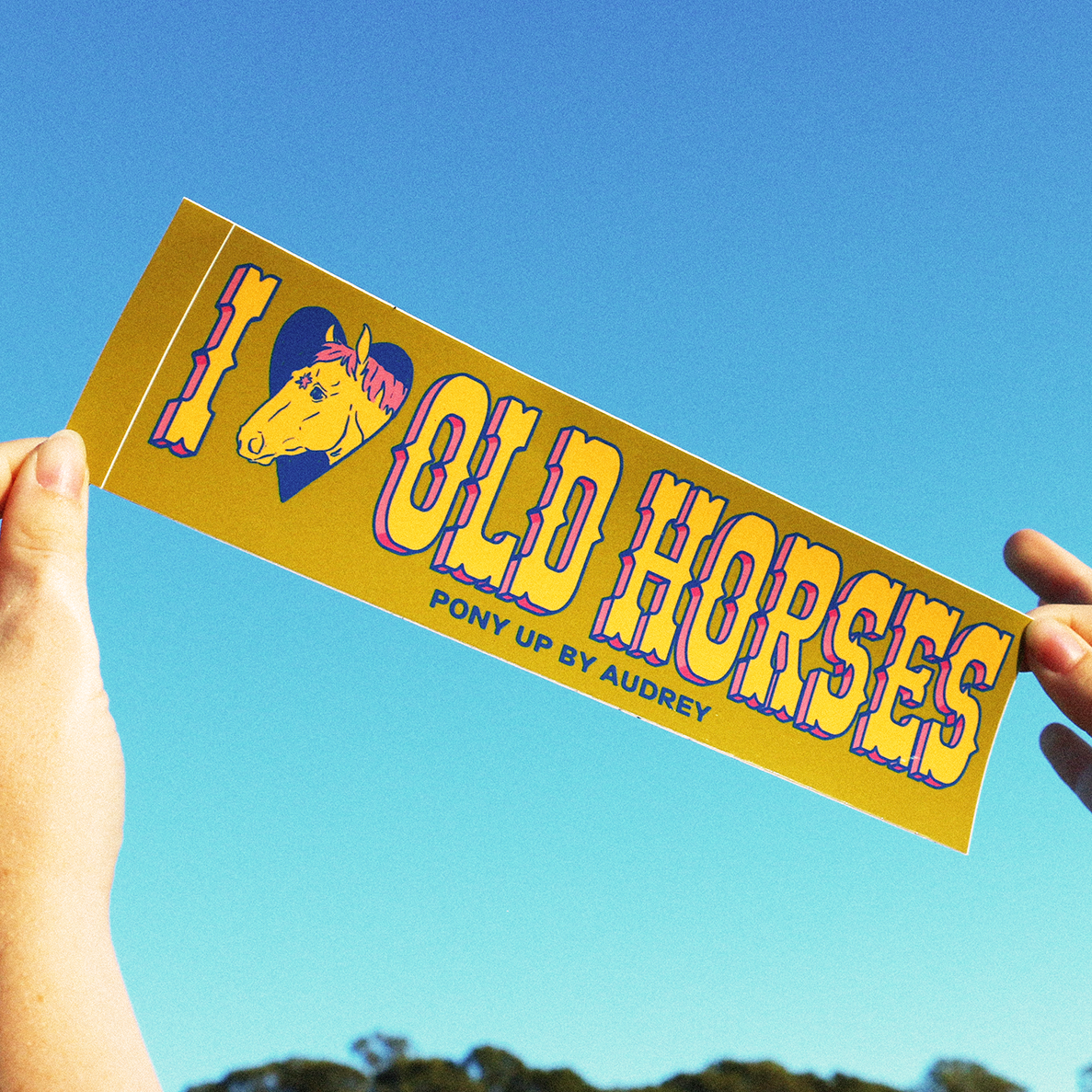 I Love Old Horses Bumper Sticker
