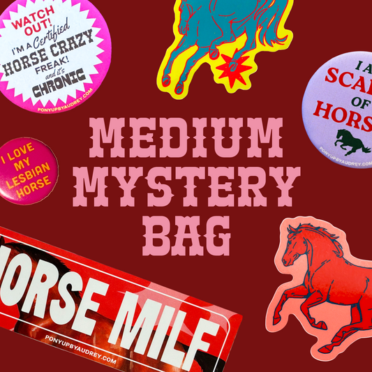 Medium Mystery Bag
