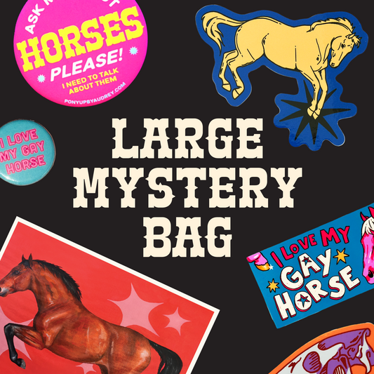 Large Mystery Bag