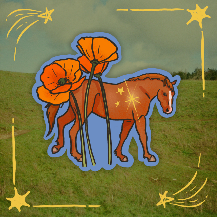 Poppy Chestnut Sticker